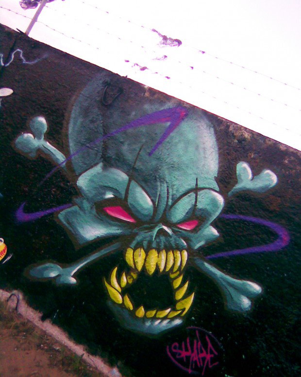 Graffiti Wall in Ukraine - Photo by Skare - skull, skare, character (2013)