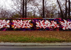 Graffiti Wall in Warsaw - Photo by Skare - Warsaw, s?u?ewiec, Nasex (2013)
