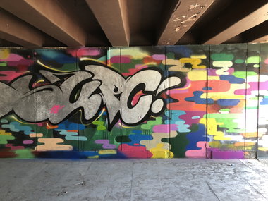 Graffiti Wall - Photo by Skare - neurowild, graffiti, skareone