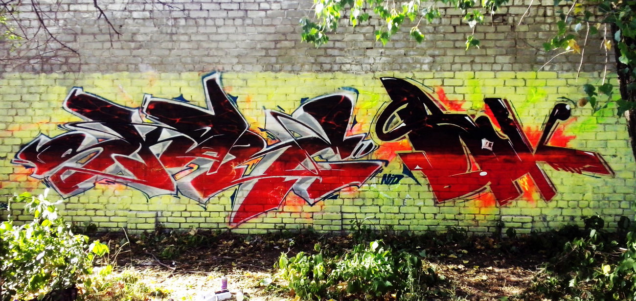 Graffiti Wall in Северодонецк - Photo by Skare - skare, bionik, nid