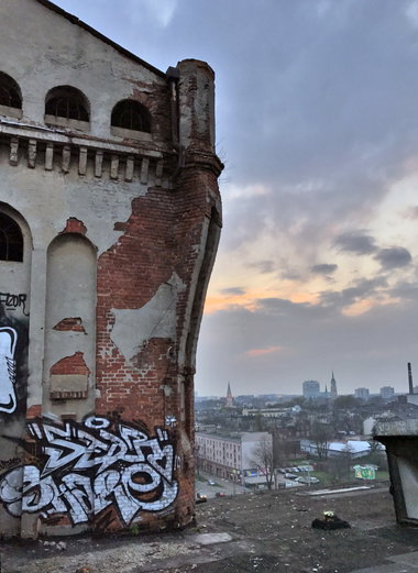 Graffiti Wall - Photo by Skare - neurowild, skare, skareone