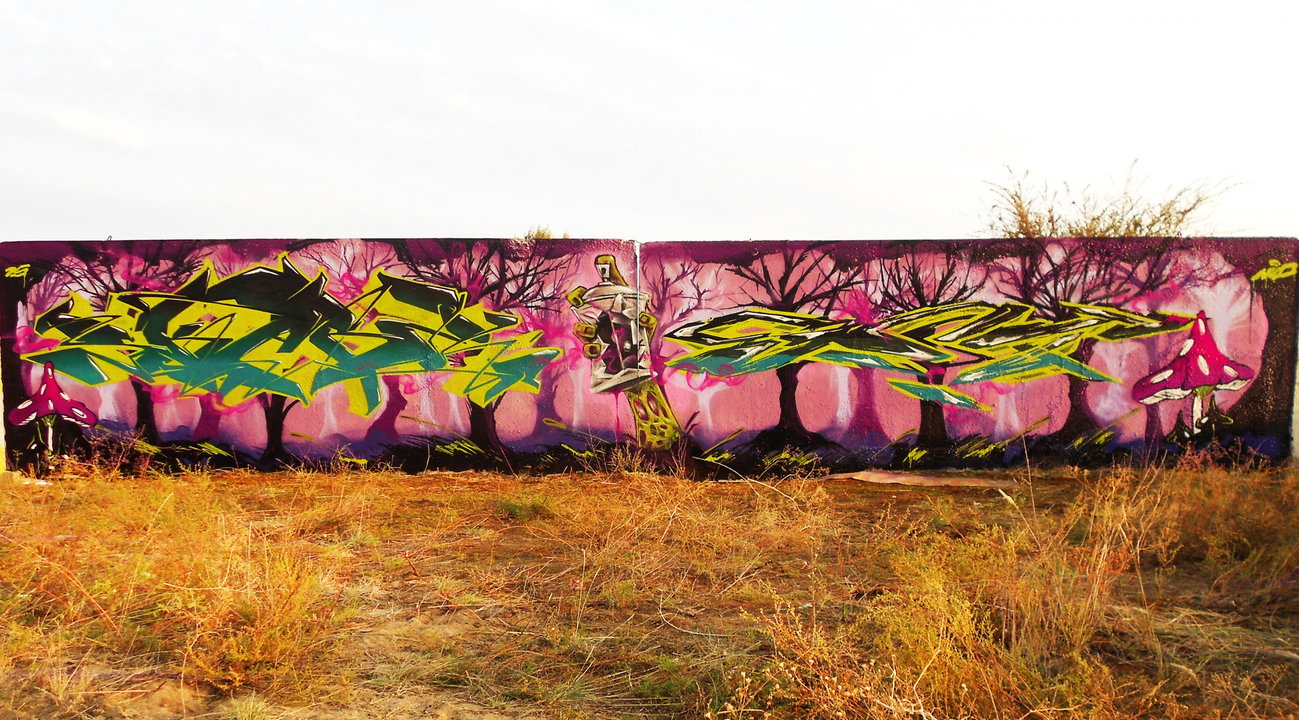 Graffiti Wall in Северодонецк - Photo by Skare - Skare