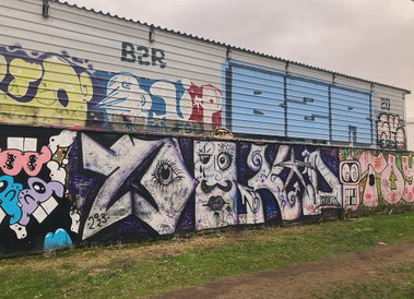 Graffiti Bombing - Photo by Skasi124