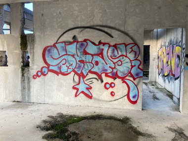 Graffiti Bombing - Photo by Skasi124