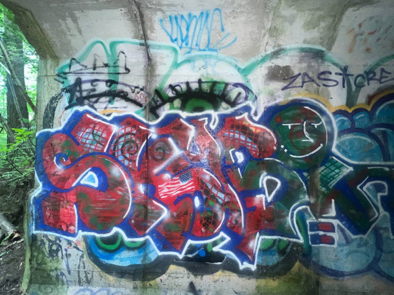Graffiti Bombing - Photo by Skasi124