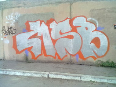 Graffiti Bombing - Photo by Skazr (2014)