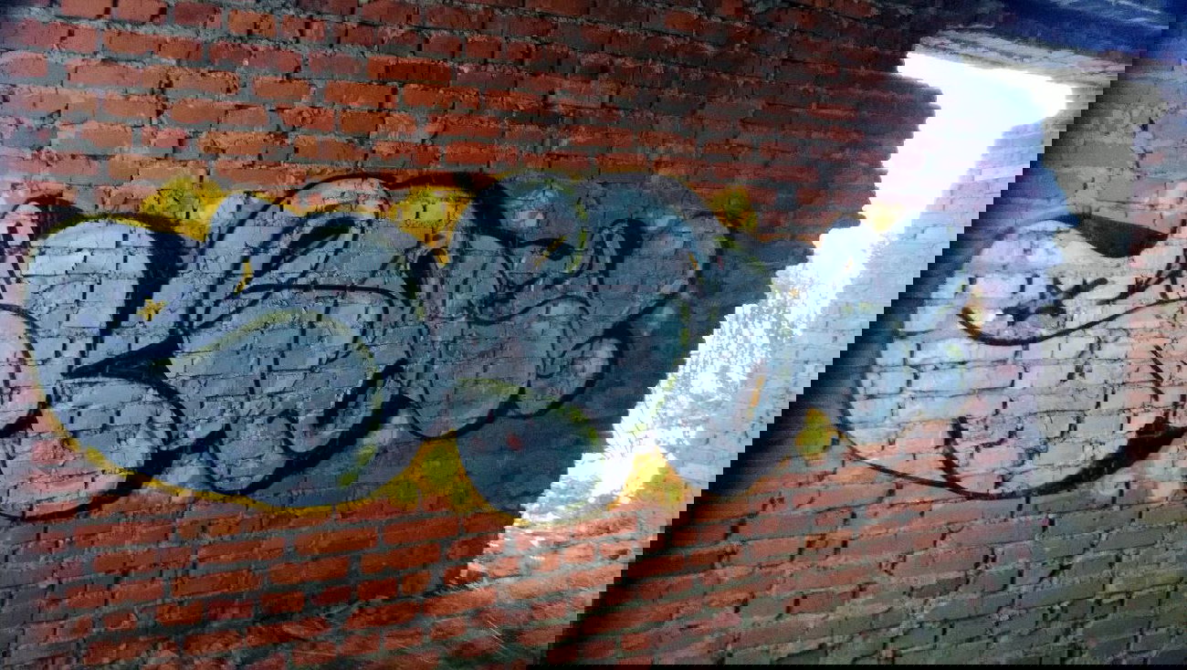 Graffiti Bombing - Photo by Skips