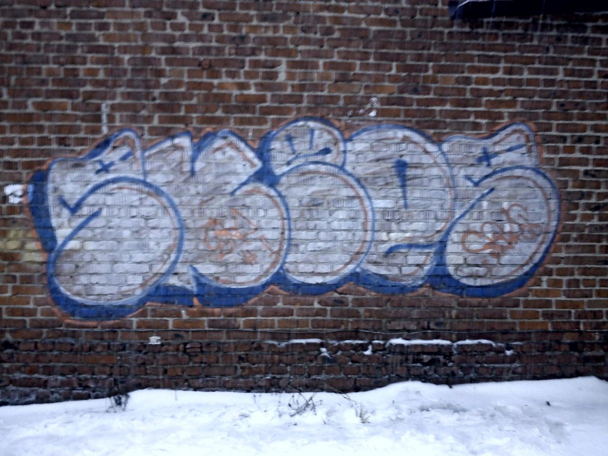 Graffiti Bombing - Photo by Skips