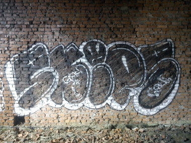 Graffiti Bombing - Photo by Skips