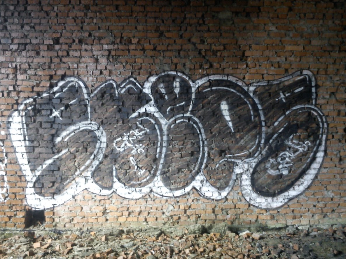 Graffiti Bombing - Photo by Skips