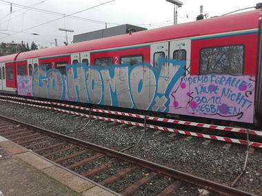 Graffiti Train - Photo by Skirmos - go, homo, mainz (2016)