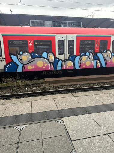 Graffiti Train - Photo by Skirmos (2024)
