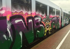 Graffiti Train - Photo by Skirmos (2016)