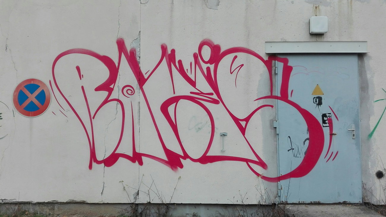 Graffiti Wall - Photo by Skirmos - Rakis, Mainz, Throwup (2016)