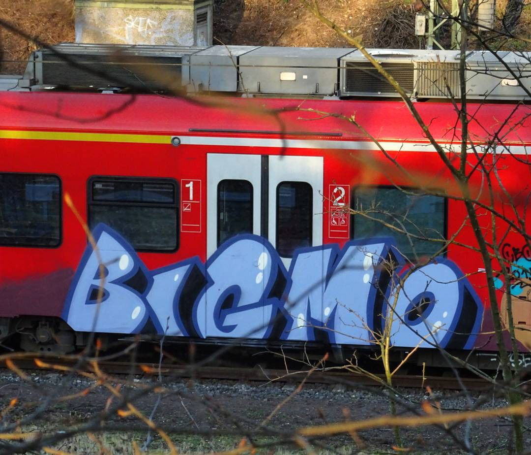 Graffiti Train - Photo by Skirmos - Bigmo, Frankfurt (2016)