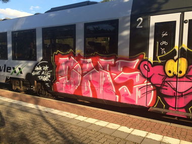 Graffiti Train - Photo by Skirmos (2016)
