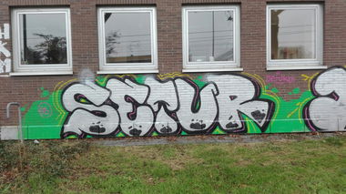 Graffiti Bombing - Photo by Skirmos - Mainz, Setur (2016)