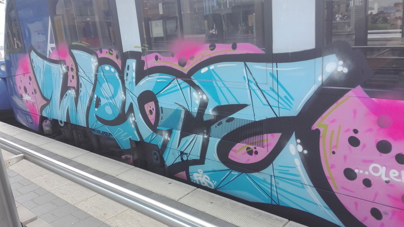 Graffiti Train - Photo by Skirmos - Mainz, vlexx (2016)