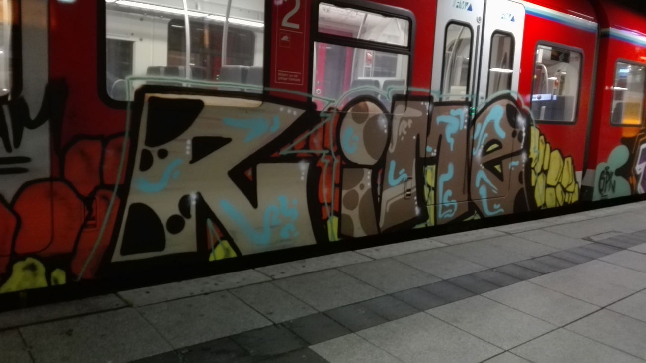 Graffiti Train - Photo by Skirmos - Rime (2016)