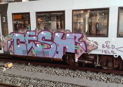 Graffiti Train - Photo by Skirmos - vlexx, mainz (2017)