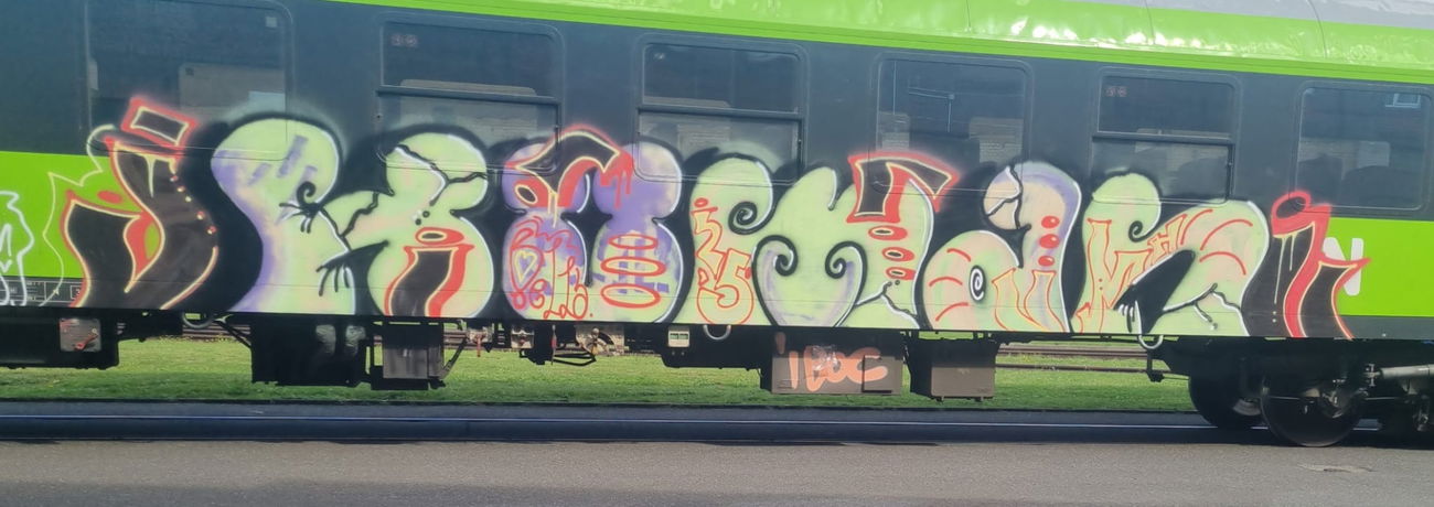Graffiti Train - Photo by Skirmos (2025)