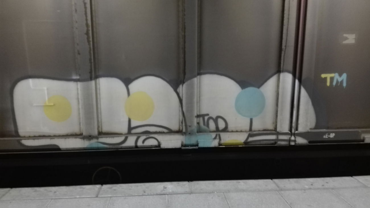 Graffiti Train - Photo by Skirmos - Moses, Taps, Mainz (2016)