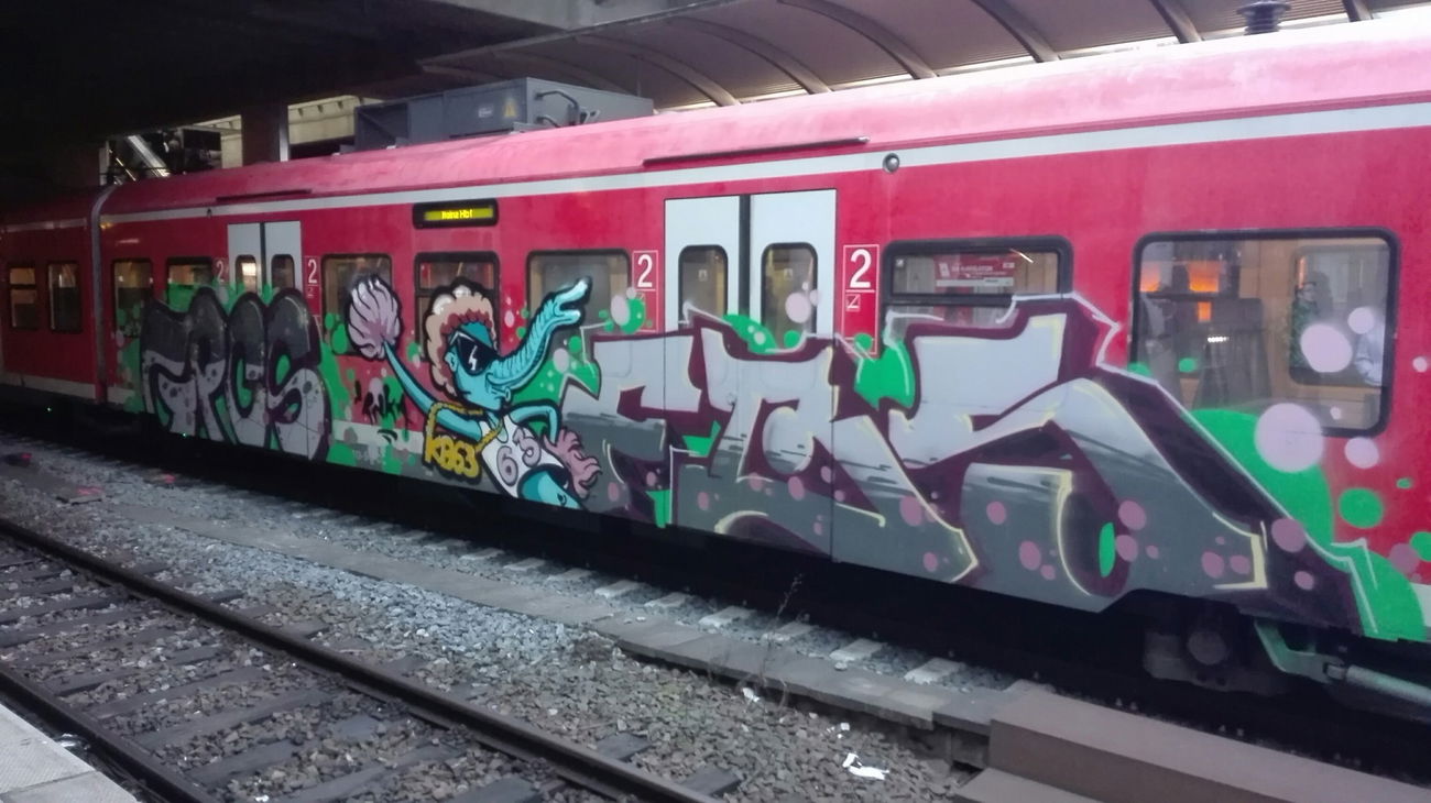 Graffiti Train - Photo by Skirmos - Mainz (2017)