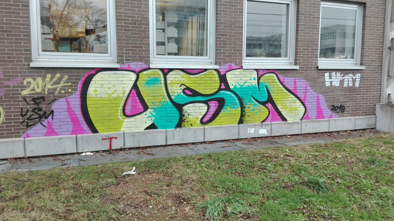 Graffiti Bombing - Photo by Skirmos - usm, mainz (2016)