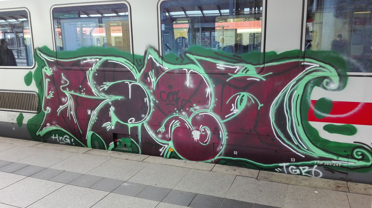 Graffiti Train - Photo by Skirmos - Mainz, 2016 (2016)