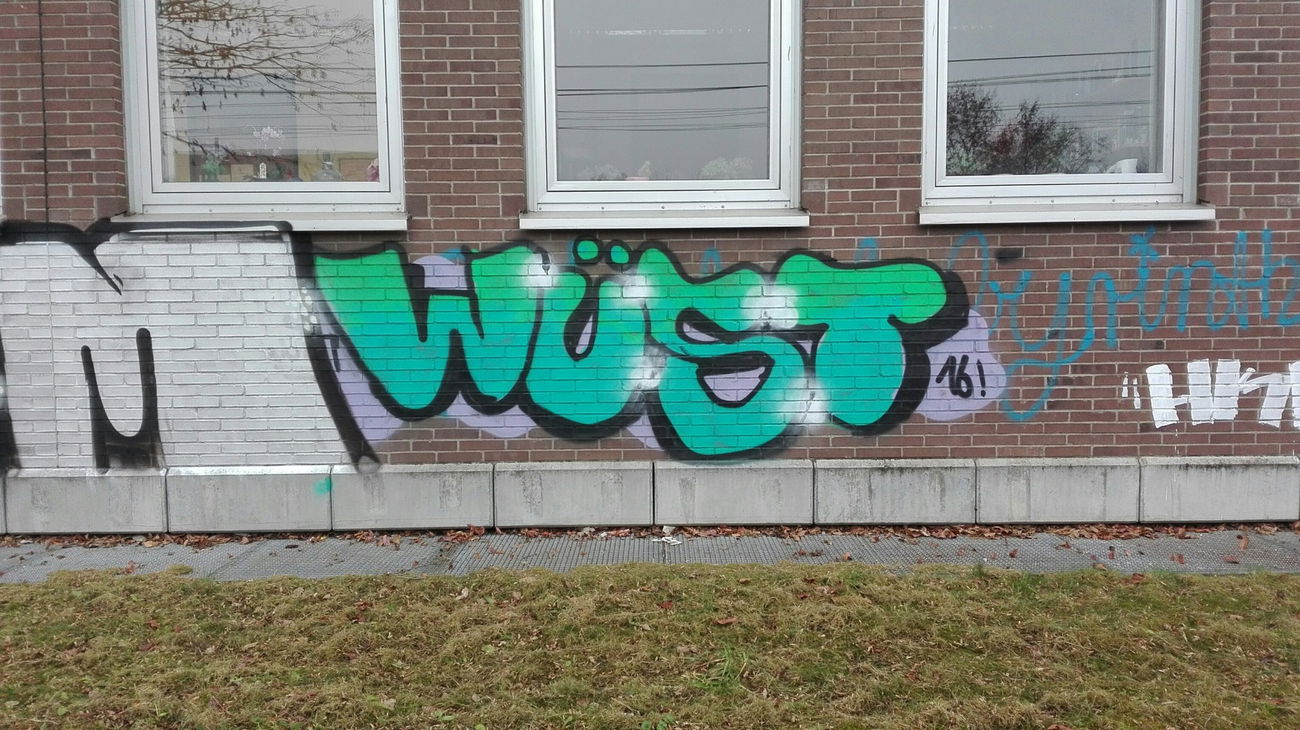 Graffiti Bombing - Photo by Skirmos - wüst, mainz (2016)
