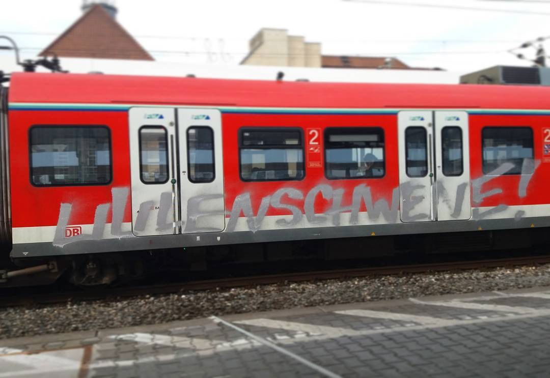 Graffiti Train - Photo by Skirmos - lilienschweine, frankfurt (2017)