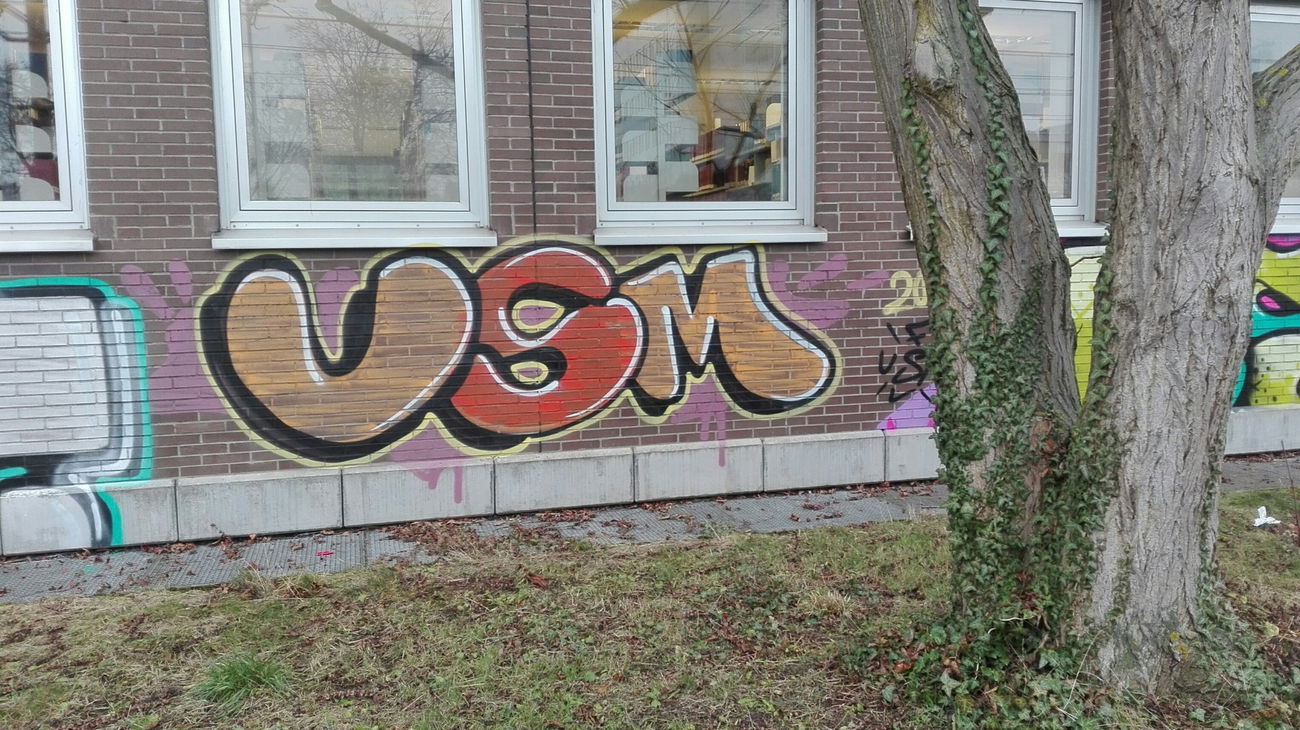 Graffiti Bombing - Photo by Skirmos - usm, mainz (2016)