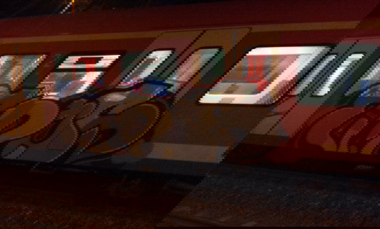 Graffiti Train - Photo by SkitOne69 - Enos, S12, NRW (2013)