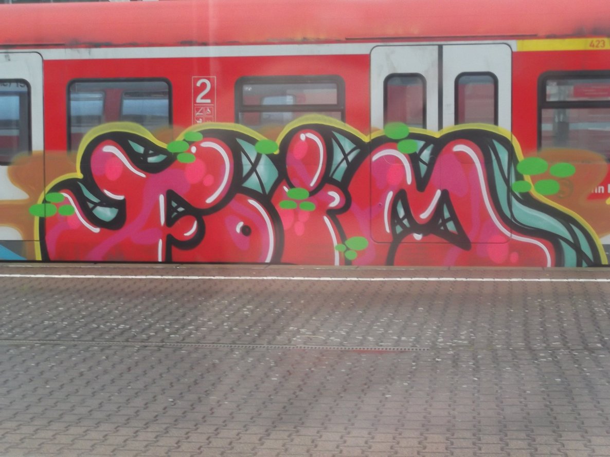 Graffiti Train - Photo by SkitOne69