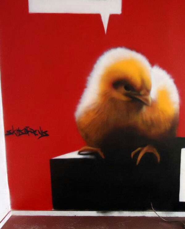 Graffiti Wall in Kalamata - Photo by Skitsofrenis - angry, bird