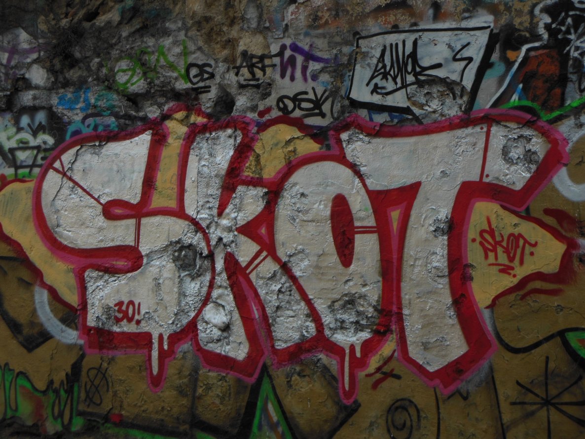 Graffiti Bombing - Photo by SkoTerror