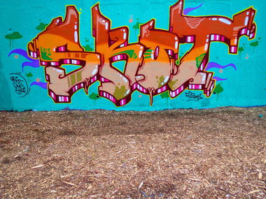 Graffiti Wall - Photo by SkoTerror