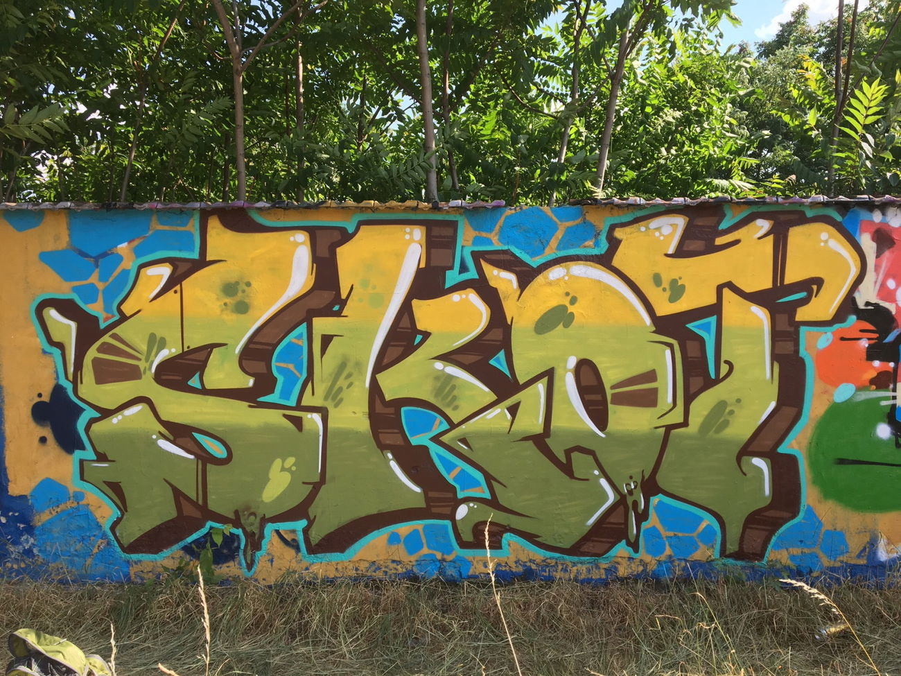 Graffiti Wall - Photo by SkoTerror