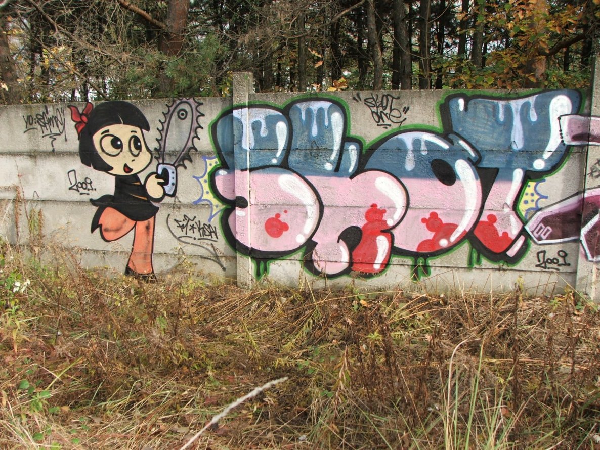 Graffiti Wall - Photo by SkoTerror