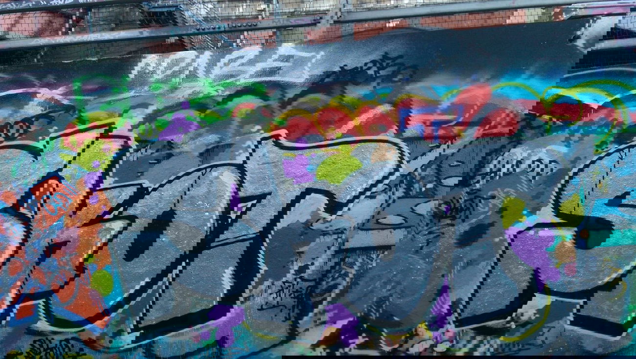 Graffiti Bombing - Photo by SkoTerror