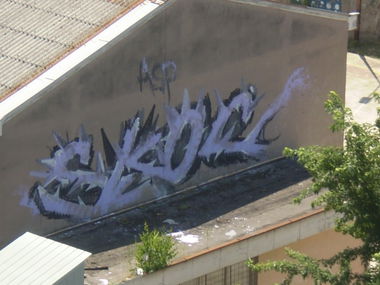 Graffiti Bombing - Photo by Skoc