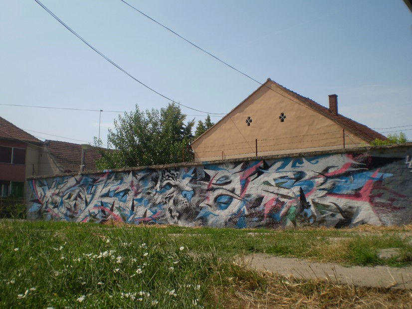 Graffiti Wall - Photo by Skoc