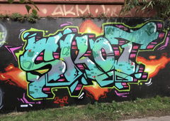 Photo #229883 by giant