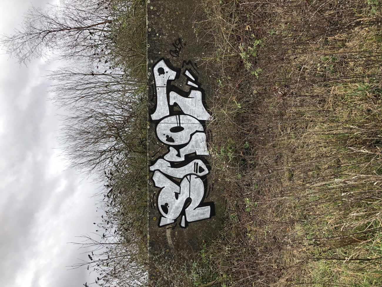 Graffiti Wall - Photo by Skot_terror