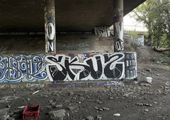 Photo #249751 by iobe1