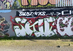 Photo #249997 by iobe1