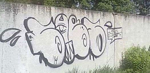 Graffiti Bombing - Photo by Sleoone