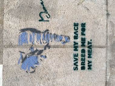 Graffiti Wall - Photo by SmartsDunce