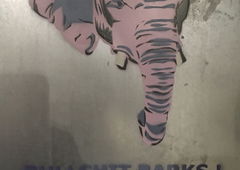 Graffiti Street Art in Paris - Photo by SmartsDunce - Éléphants (2020)