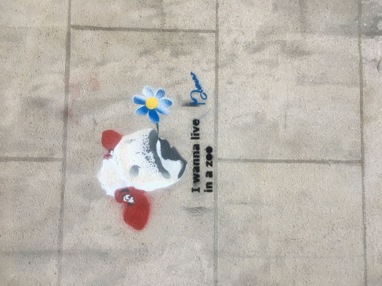 Graffiti Wall in Paris - Photo by SmartsDunce - Caw